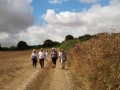 8/8/18. Walking on the Downs.