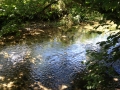 The River Pang