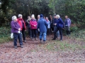 1/11/2015 Annual Lunch and AGM - the walk