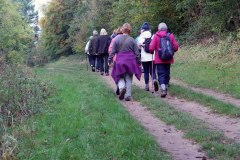 Autumn Walking 2019