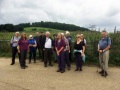 1 Sept 2021. The Warren, Caversham & Mapledurham.