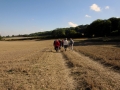 30-09-2015 Aldworth and the Berkshire Downs
