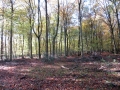 8/11/17 Goring Heath