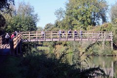 Autumn Walks 2018