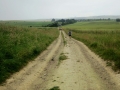 28/06/14 Views of the Ridgeway on the way to Avebury