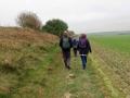 14/11/21. Walking on the Downs nr Blewbury.