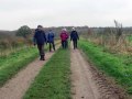 24/11/21. Walking nr Ipsden.