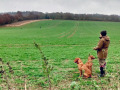 24/11/21. Gun dogs & Shooting party nr Ipsden.