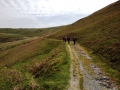 To the Roman Camp