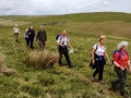 On the moors