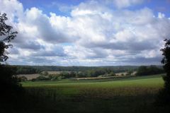 Hinton Ampner September 2015
