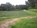 Walking from Cheriton to Brockwood Park