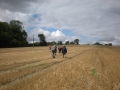 Approaching Hinton Ampner from the south