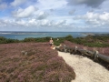 Isle of Wight 11 mile walk