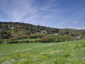 View inland from the coastal path near Ventnor.