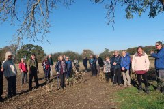 COVID Lockdown Walks1  - Autumn/Winter 2020/21