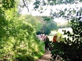 07/10/20. 2nd Post lockdown walk from Sonning Common.