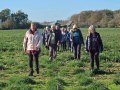 4/11/20. Mapledurham Estate walk.