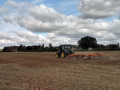 18/09/22. Red kites following the Harrowing nr Hambledon .