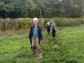 30/10/22. Walking towards Turville.