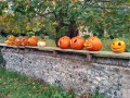 30/10/22. Pumpkins for Halloween on churchyard wall in Fingest.