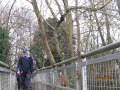 18/02/23.   Linear Pk, Calcot.