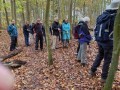 26/11/22.  Berks AGM walk in Sulham Woods