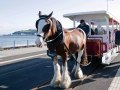 Horse drawn Tram - Douglas,