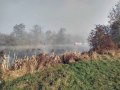 27/11/20. Misty morning on the R Thames  nr Purley  taken by Diana Lincoln.