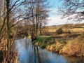 17/11/21. R Pang nr Bradfield  taken by Sandy Pagliaro.