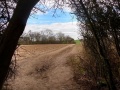 25/02/21. Sulham Woods by Sandy Pagliaro.