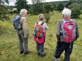 01/08/21. Marlborough Downs looking at Sarsen stones.