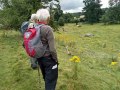 01/08/21. Marlborough Downs looking at Sarsen stones.