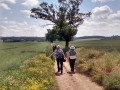 23/06/21. Curridge nr Chieveley.