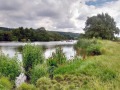 08/07/21. Purley on Thames.
