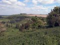 21/05.23. Kingsclere & Watership Down.