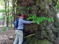 24/05/23. Tree-hugging! Bedwyn.