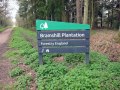 19/04/23. Bramshill Plantation.