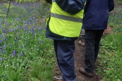 27/04/24. Bluebell walk at Checkendon. 