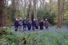 27/04/24. Bluebell walk at Checkendon. 