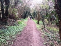 31/3/19 Henley9 miles