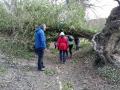 09/03/22 . Circular walk from  Nuffield to Ipsden, tree down!