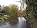23/04/22. Dipley Mill, Riseley.
