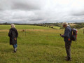 06/08/23. Nettlebed walk.