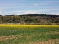 01/05/16 Tilehurst