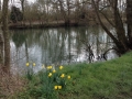 6/03/2016  Sonning