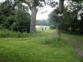 26/06/16 Snelsmore Common