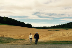 Summer Walks 2015