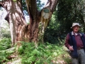 27/5/15 Bucklebury Common