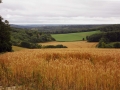 26/07/15 Streatley Hill/Goring